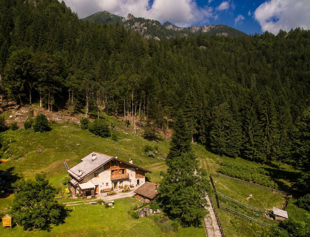 Agritur Manoncin Villa Daone Eksteriør billede