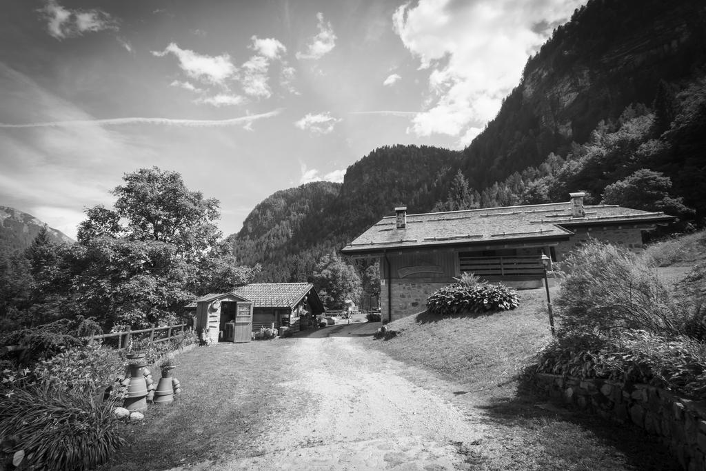 Agritur Manoncin Villa Daone Eksteriør billede